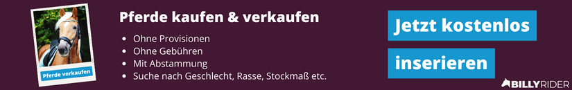 Pferde kaufen & verkaufen - Jetzt kostenlos inserieren!