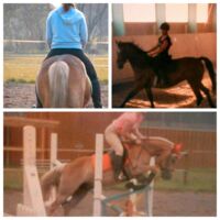 Profilbild Sliont Equine (Saskia Rosche)