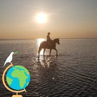 Profilbild Sältz