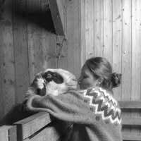 Profilbild