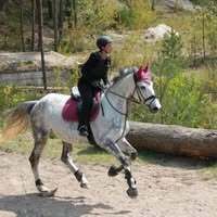 Profilbild