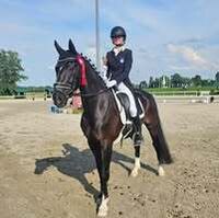 Profilbild