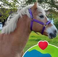 Profilbild Maria