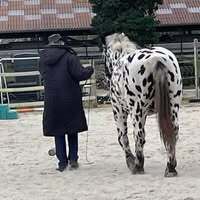 Profilbild