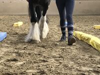 Profilbild Kati Auer