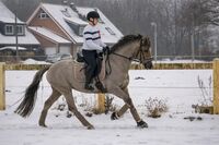 Profilbild Ann-Sophie