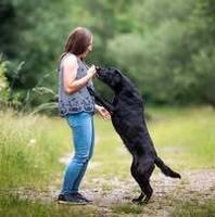 Profilbild Melanie Zeiler