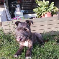 Profilbild Reitstall·Gestüt-K Grafendorf