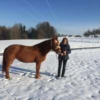 Profilbild