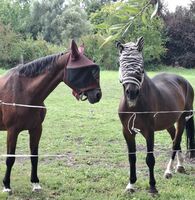 Profilbild Andrea Hammel