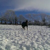 Profilbild