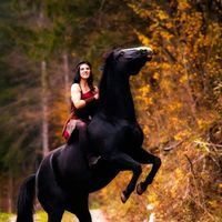 Profilbild