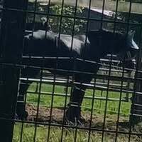 Profilbild Benjamin spangenberg