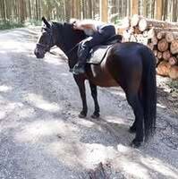Profilbild