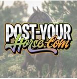Profilbild Post-Your-Horse.com