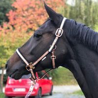 Profilbild Simone van Cayzeele