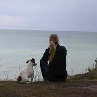 Profilbild Hundetanne