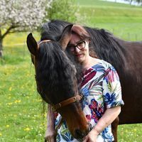 Profilbild