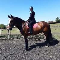 Profilbild