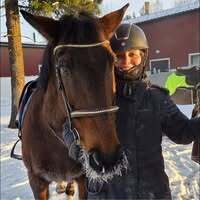Profilbild