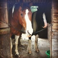 Profilbild