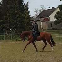 Profilbild