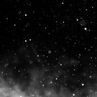 Profilbild Alexandra Teufl