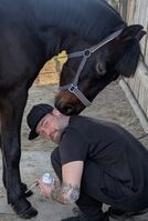 Profilbild Manuel Graf